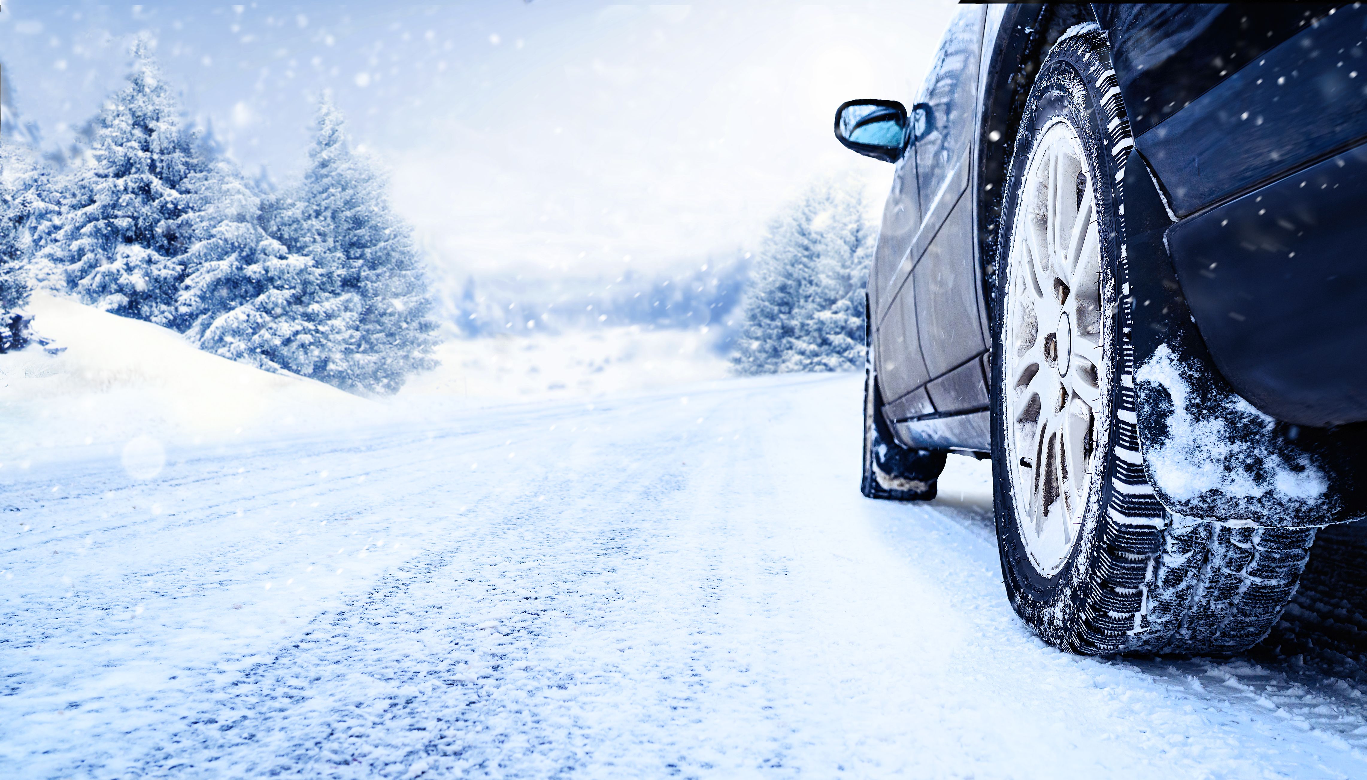 winter car