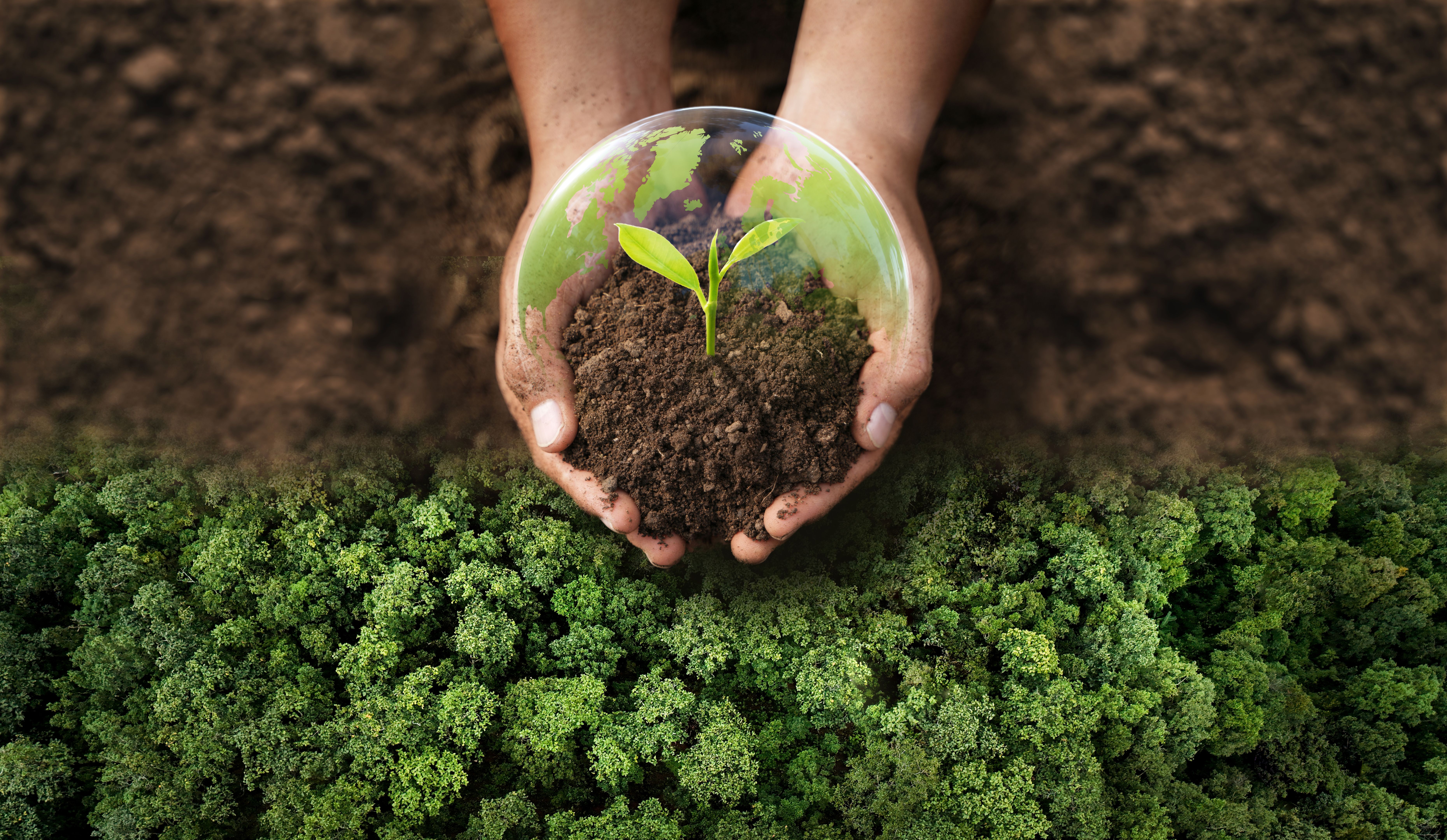 environmentally friendly